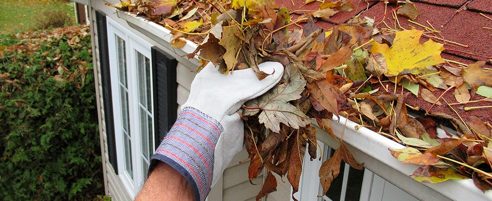 5 Tips for Fall Roof Maintenance