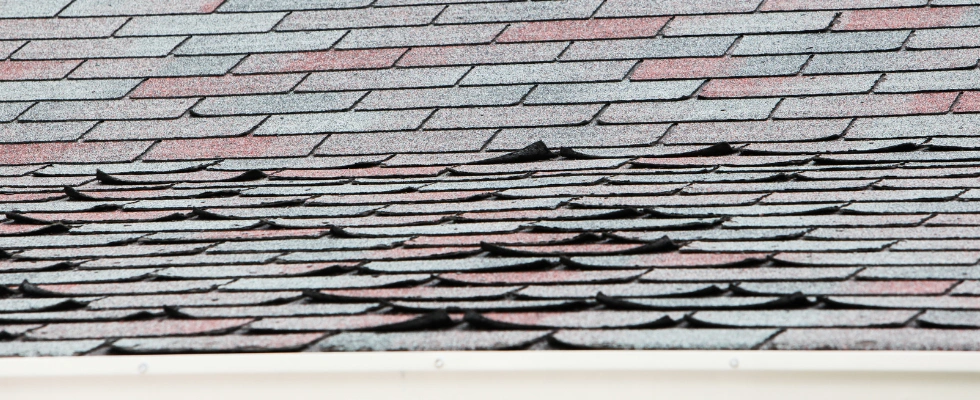 Is Your Roof Suffering From Sun Damage
