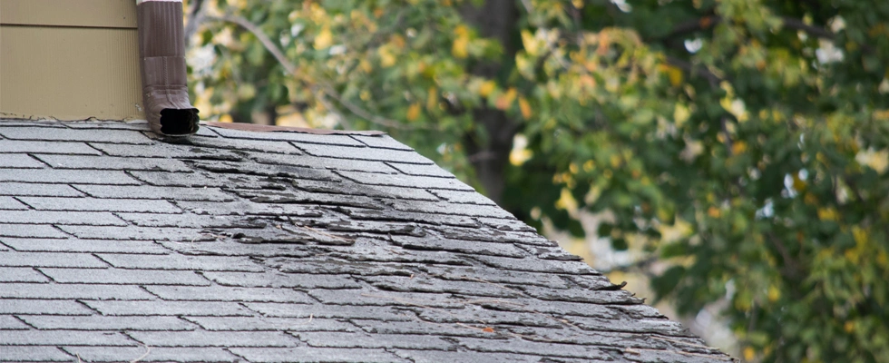 Signs Your Roof Has Wind Damage