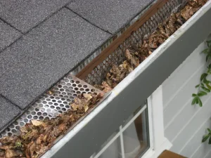 roof leaves gutter