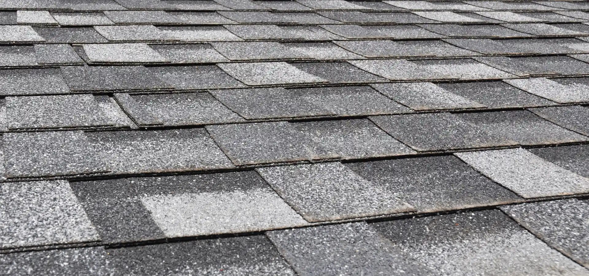shingle roof hero