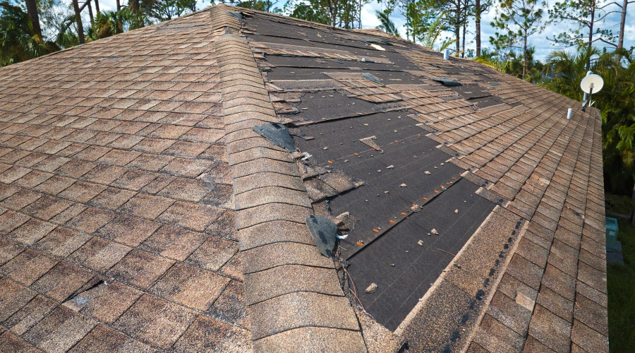 Roof Repair & Coating